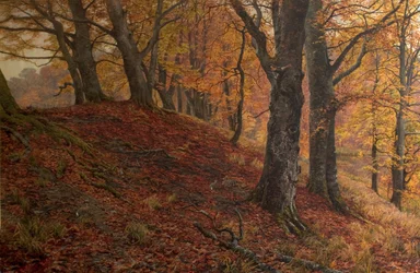 At the Fall of Leaf, Arundel Park, Sussex